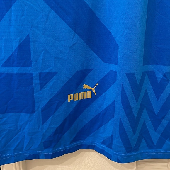 EUC PUMA ITALIA (Italy) 2022 Pre-Match Jersey, Size SM - Picture 6 of 7